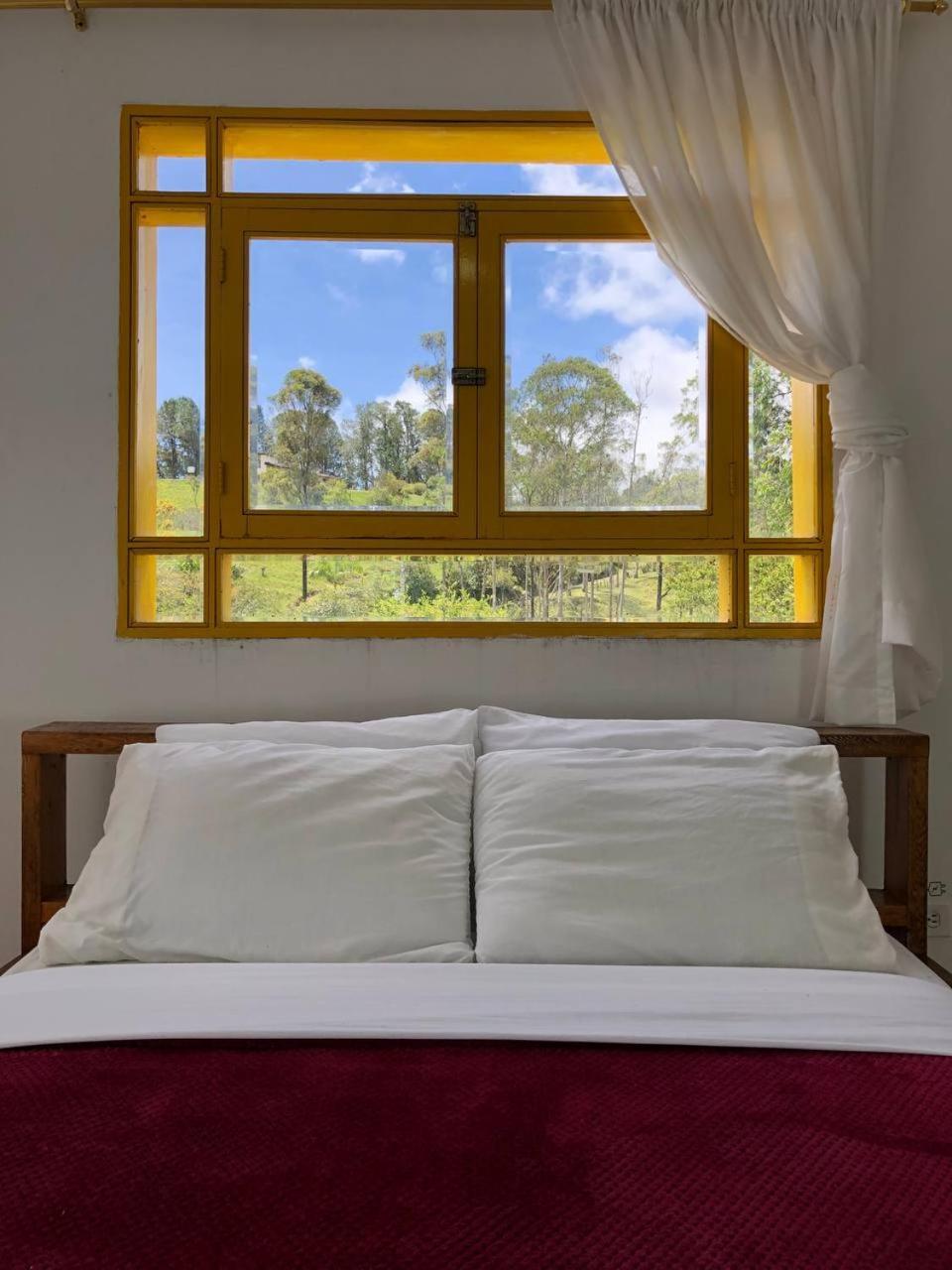 Alegria Hostel Boutique Guatapé Rom bilde